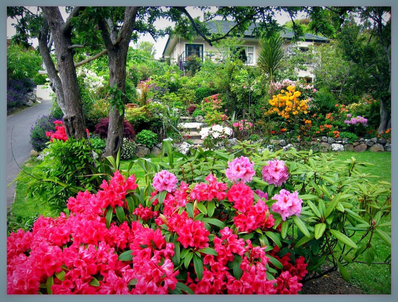 Mcauley Glen Boutique B&B Portobello ภายนอก รูปภาพ