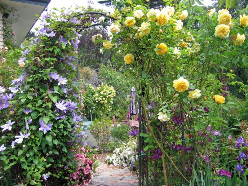 Mcauley Glen Boutique B&B Portobello ภายนอก รูปภาพ